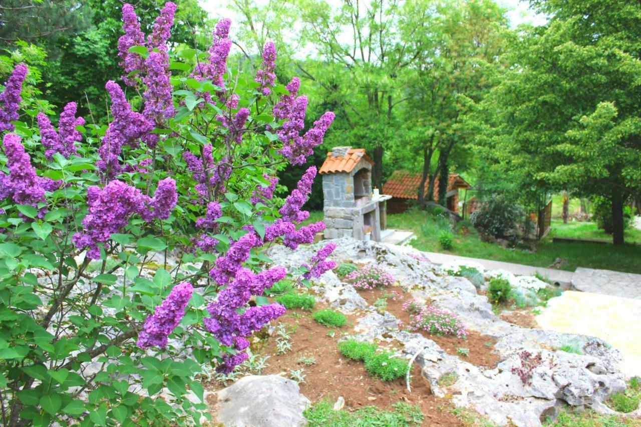 Holiday Home Deni Roč Dış mekan fotoğraf